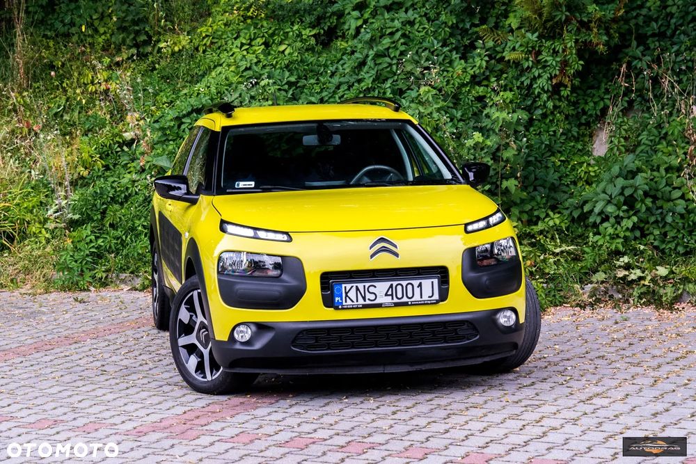 Citroën C4 Cactus 1.2 PureTech Feel Edition S&S - 12
