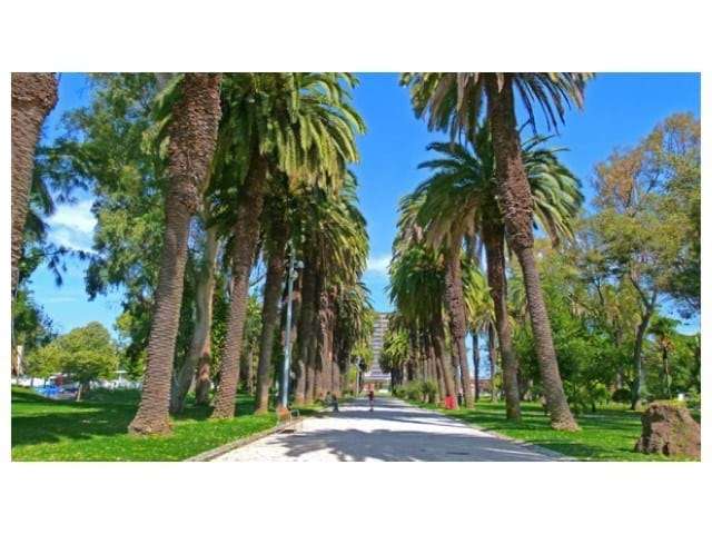 Apartamento T2 em Alvalade – Investimento com Potencial de Valorização - Grande imagem: 5/6