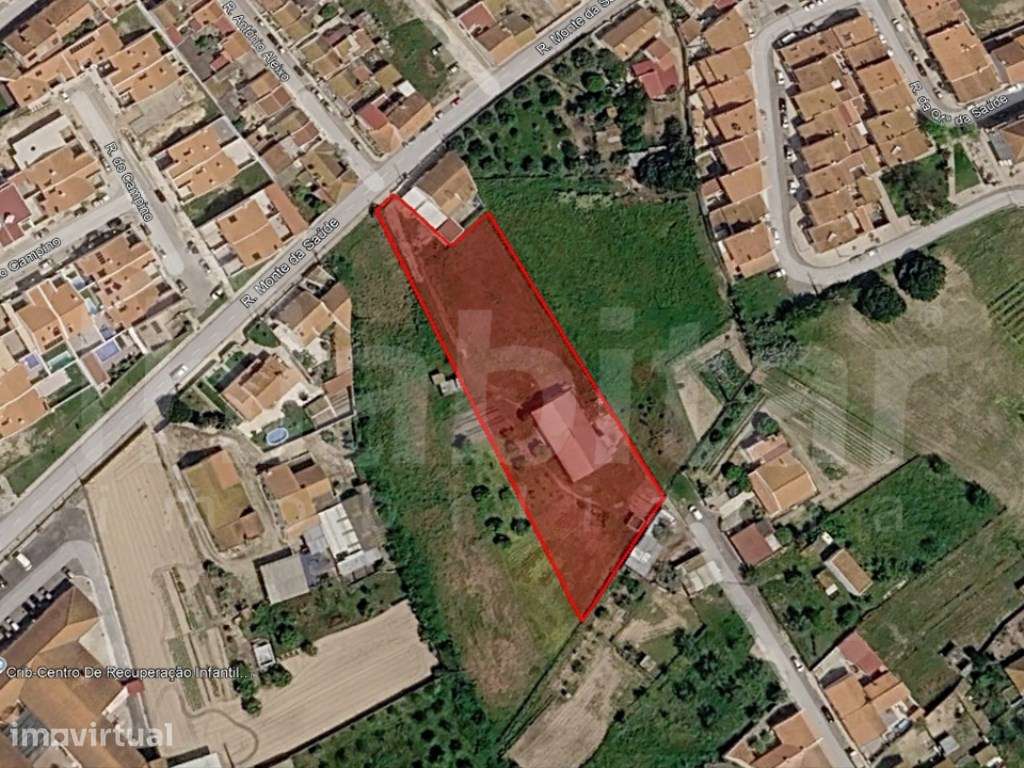 Terreno Urbano com 3.893 m², com Armazém com 288 m² - Benavente - Grande imagem: 2/3