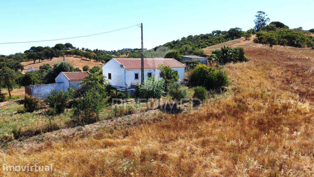 Quinta com Habitação e Terreno de 2,89 Hectares, Odemira - Grande imagem: 2/14