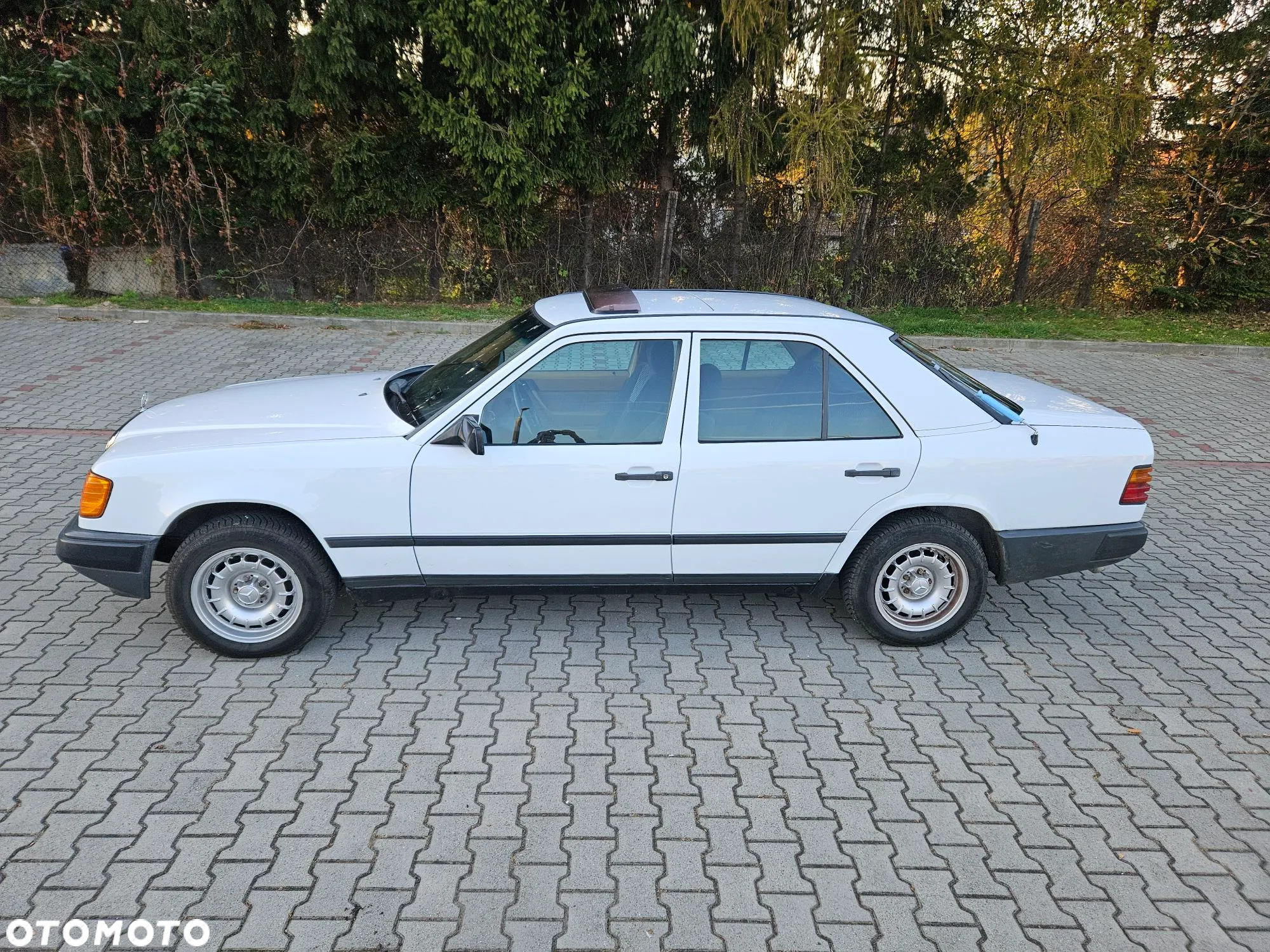 Mercedes-Benz W124 (1984-1993) - 8