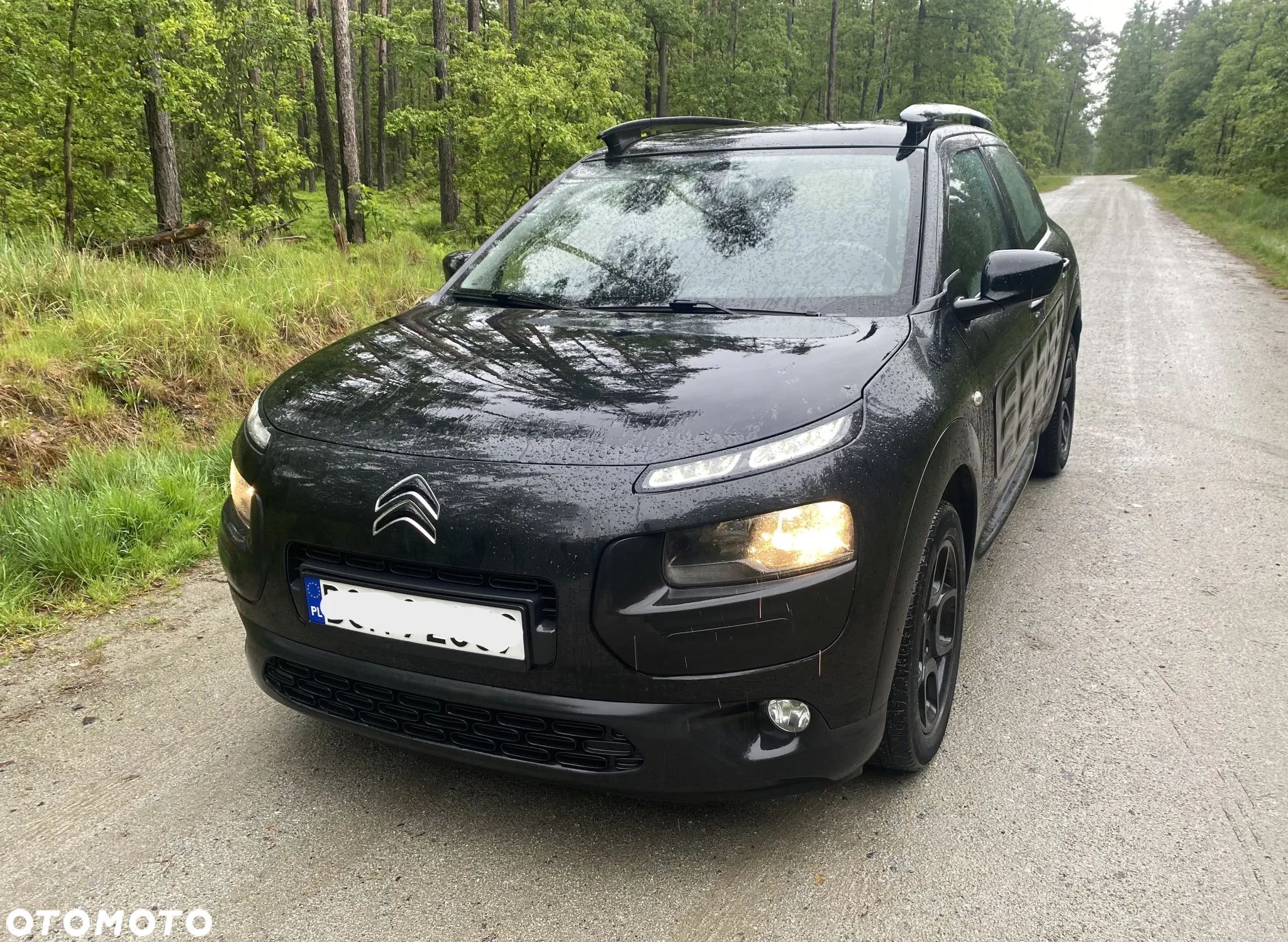 Citroën C4 Cactus - 1