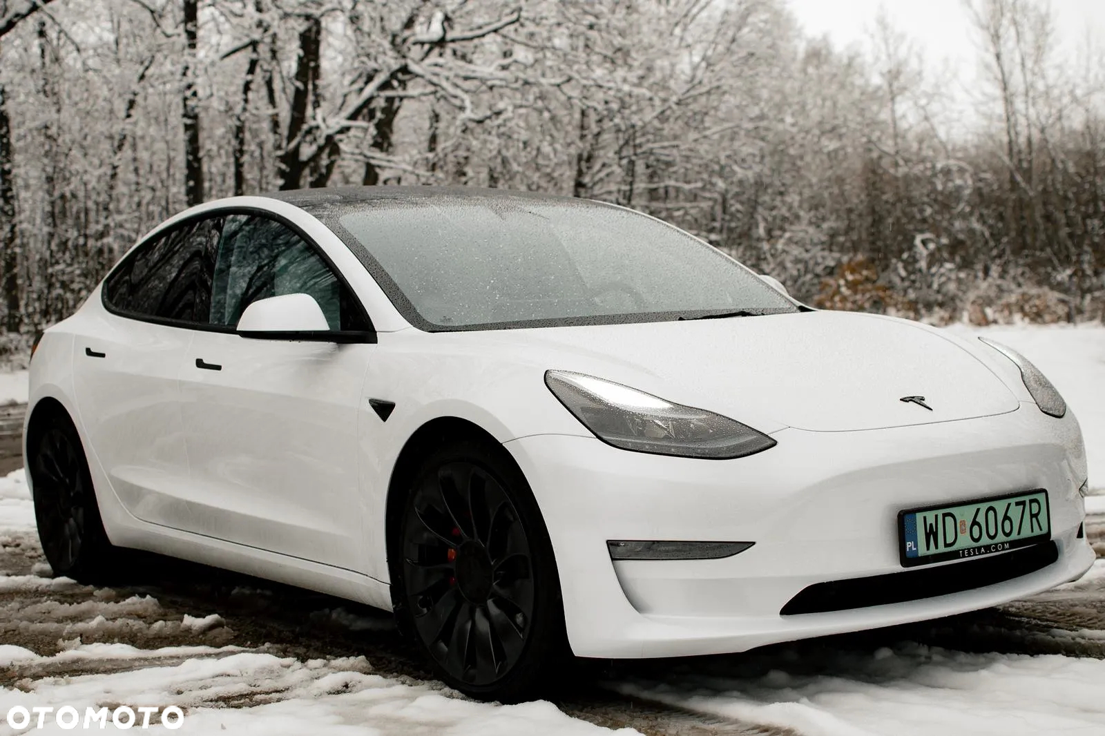 Tesla Model 3 Performance AWD - 6