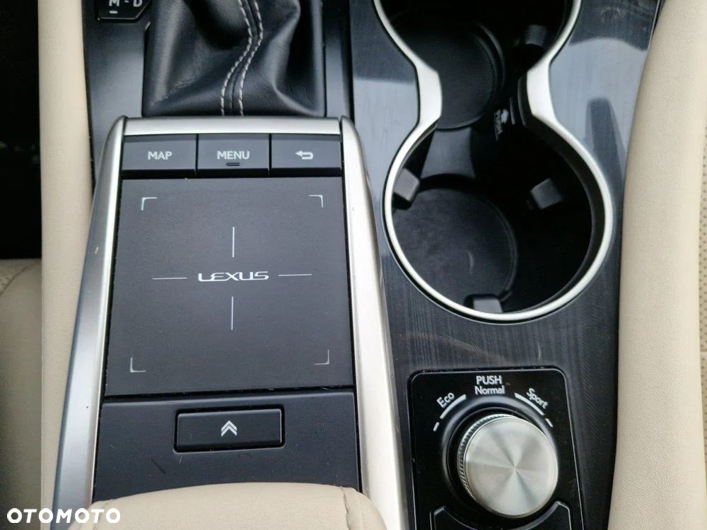 Lexus RX 300 F-Impression - 24