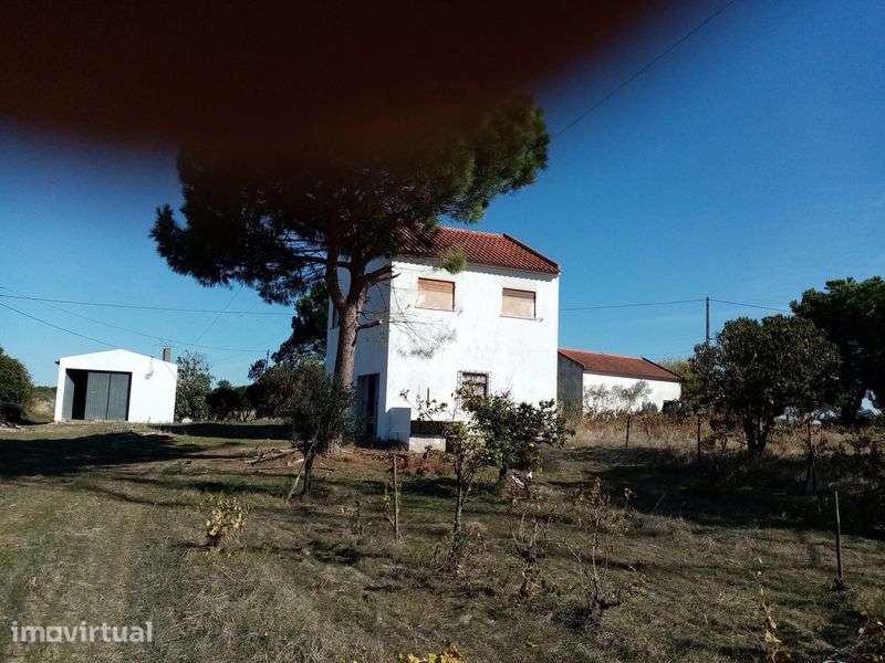 Propriedade 6770m2 com ruina. - Grande imagem: 4/7
