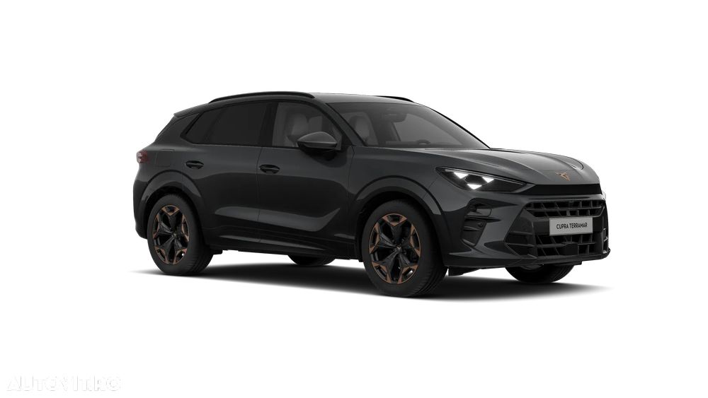 Cupra Terramar - 6