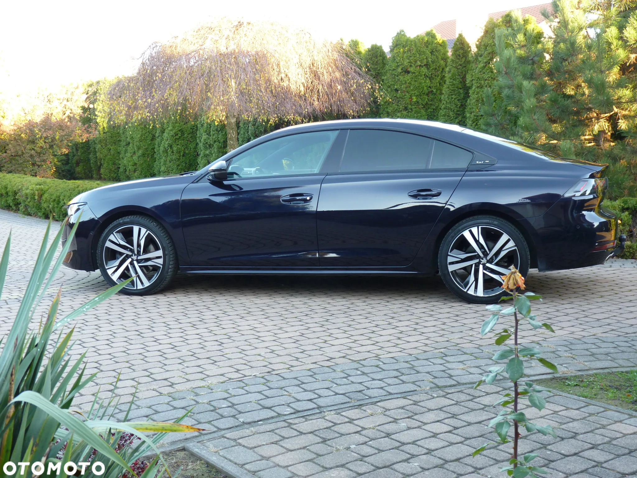 Peugeot 508 2.0 BlueHDi GT S&S EAT8 - 9