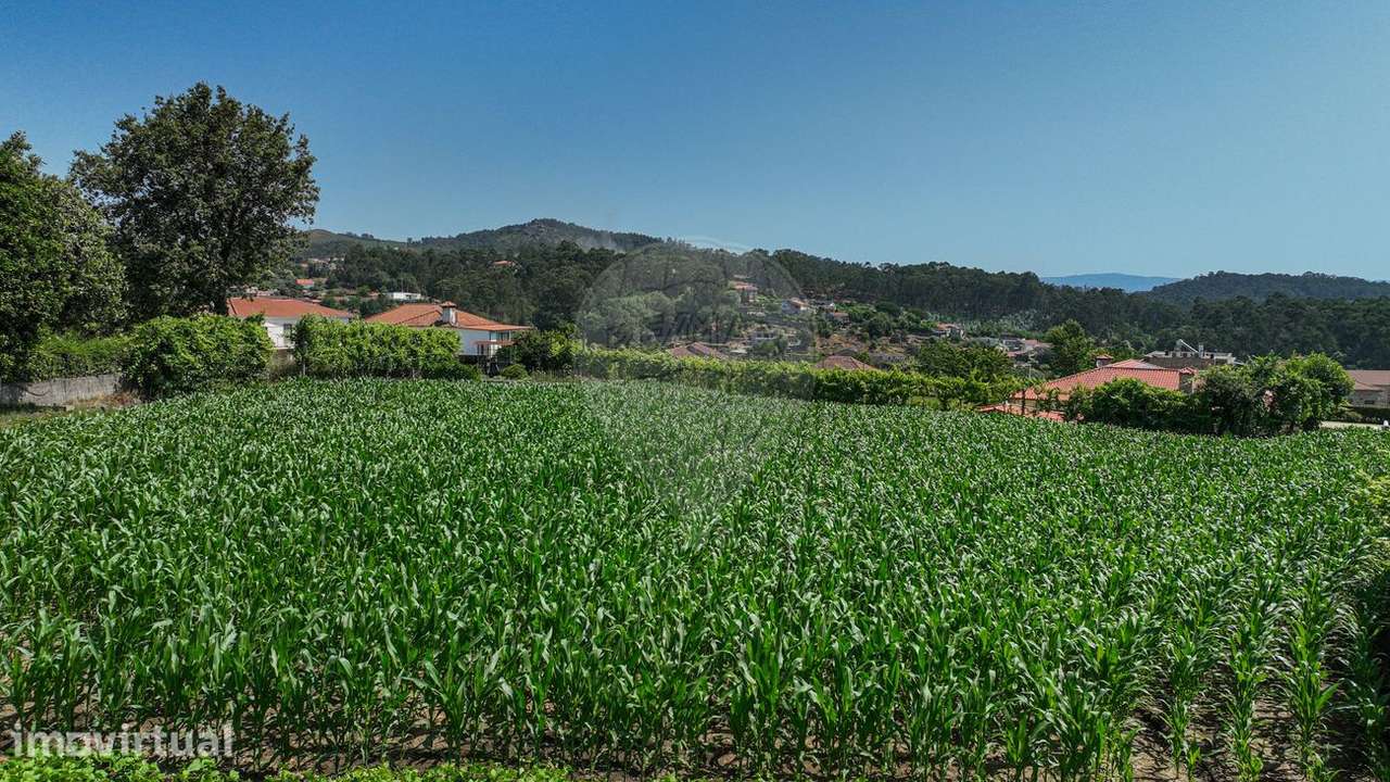 Terreno  para venda - Grande imagem: 2/19