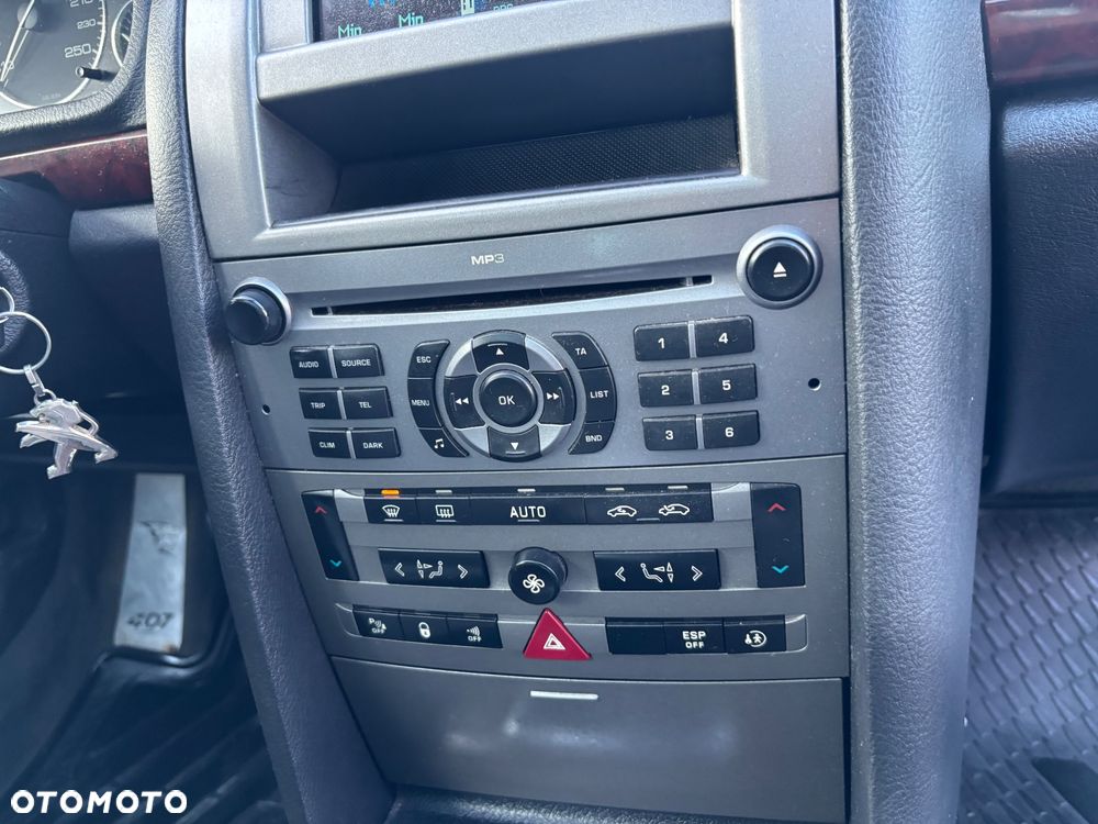 Peugeot 407 - 17