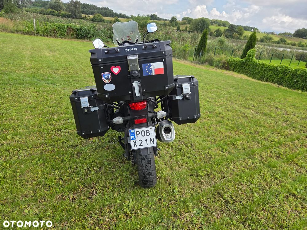 Suzuki DL - 8