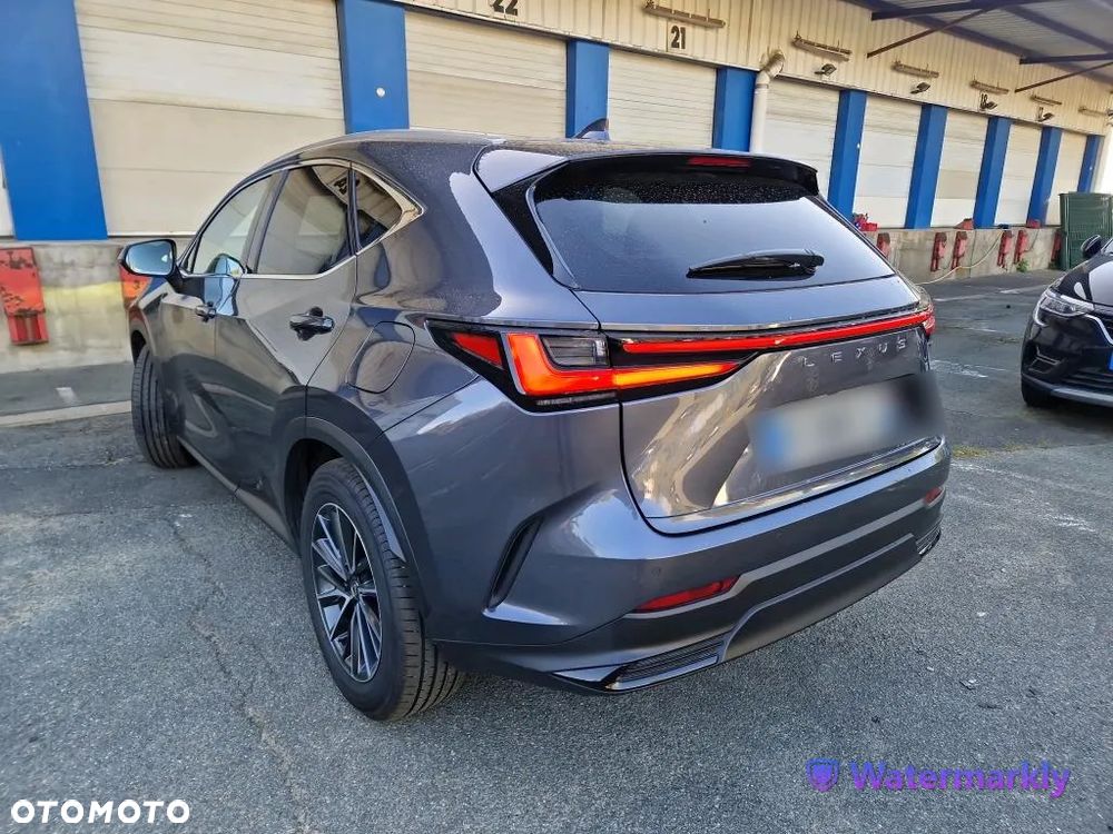 Lexus Nx 2024 photo 4