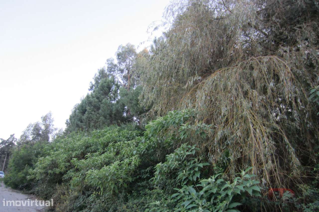 Lote Industrial  Venda em Santa Maria da Feira, Travanca, Sanfins e Es - Grande imagem: 5/9