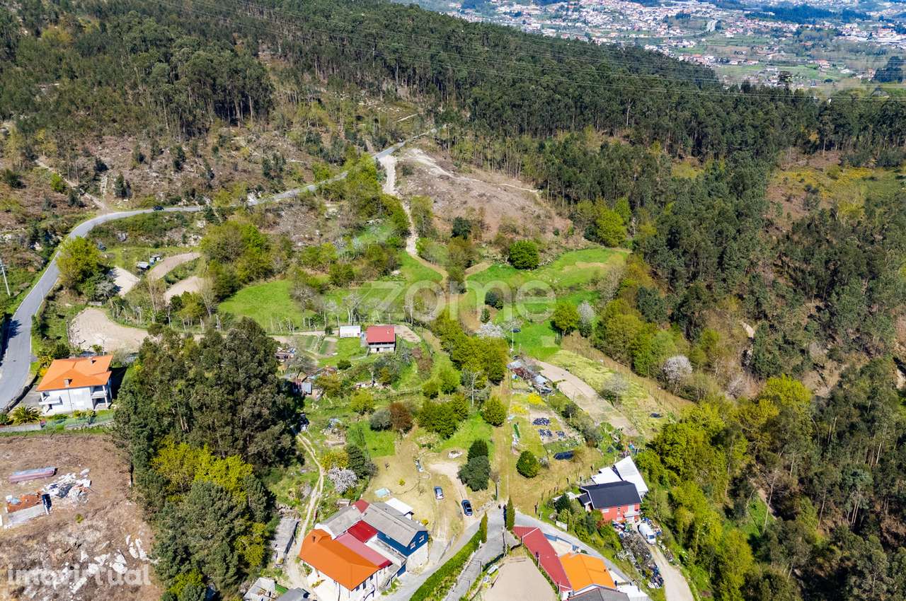 Terreno Rústico c/ 27850m² em Mesão Frio - Guimarães - Grande imagem: 2/30