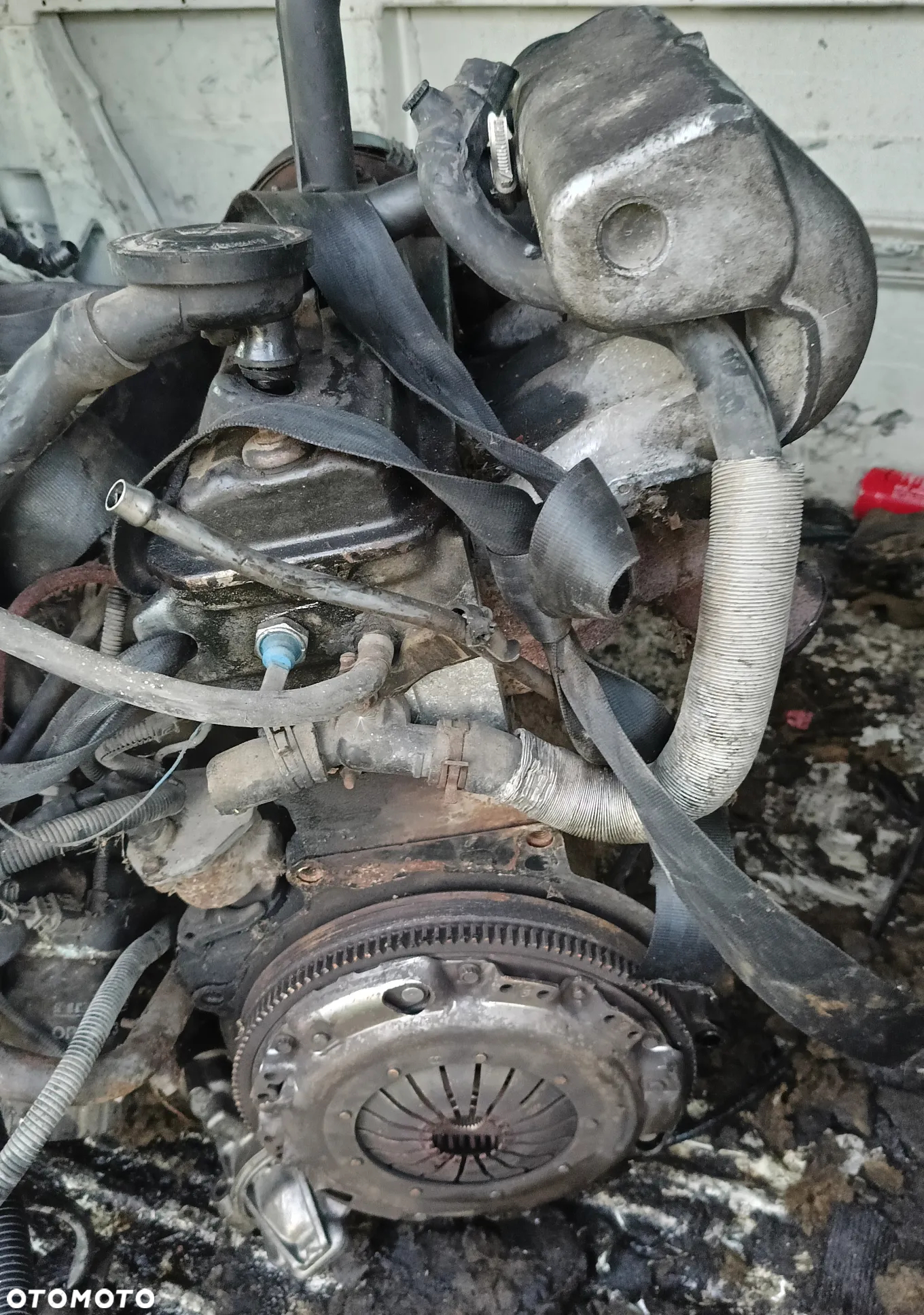 Kompletny silnik VW T4 1.9D Oryginalny filmik - 4