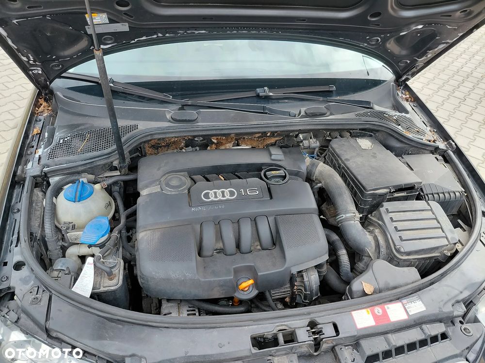 Audi A3 3-drzwiowe - 10