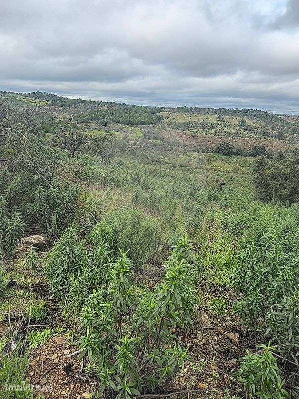 Terreno  para venda - Grande imagem: 3/10