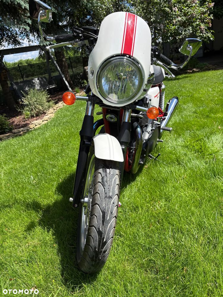 Triumph Thruxton - 6