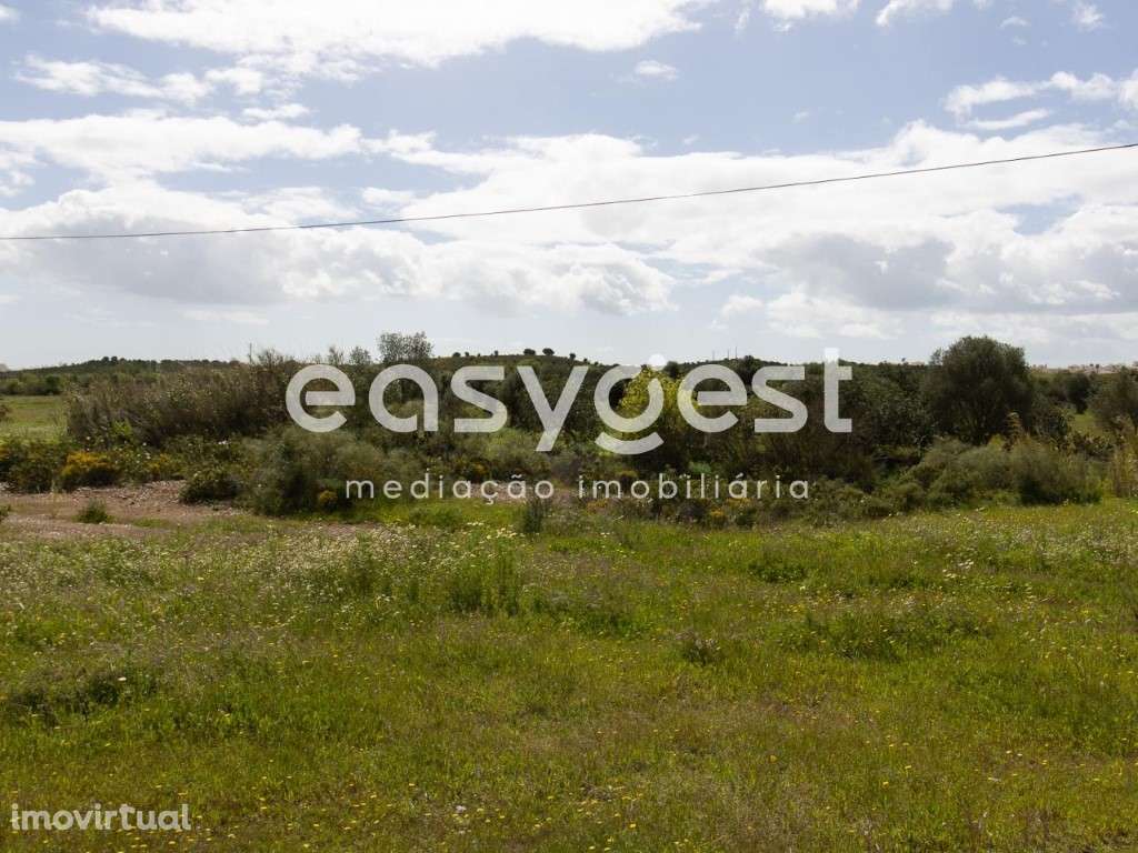 Terreno Rústico com poço para cultura de sequeiro no Sapal Chão - Grande imagem: 5/16