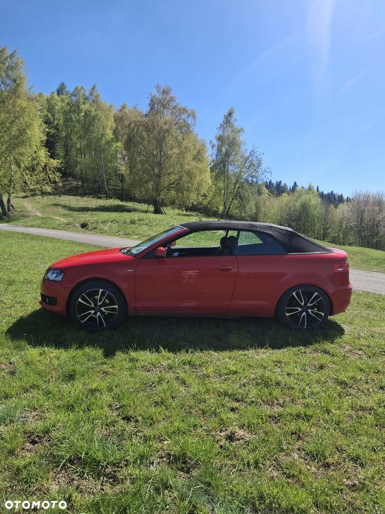 Audi A3 Cabrio 2.0 TDI DPF Attraction - 13