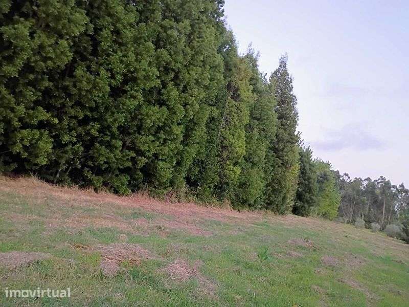Grande Terreno 2745 M2 - Monte Arcado, Covoes - Grande imagem: 4/12