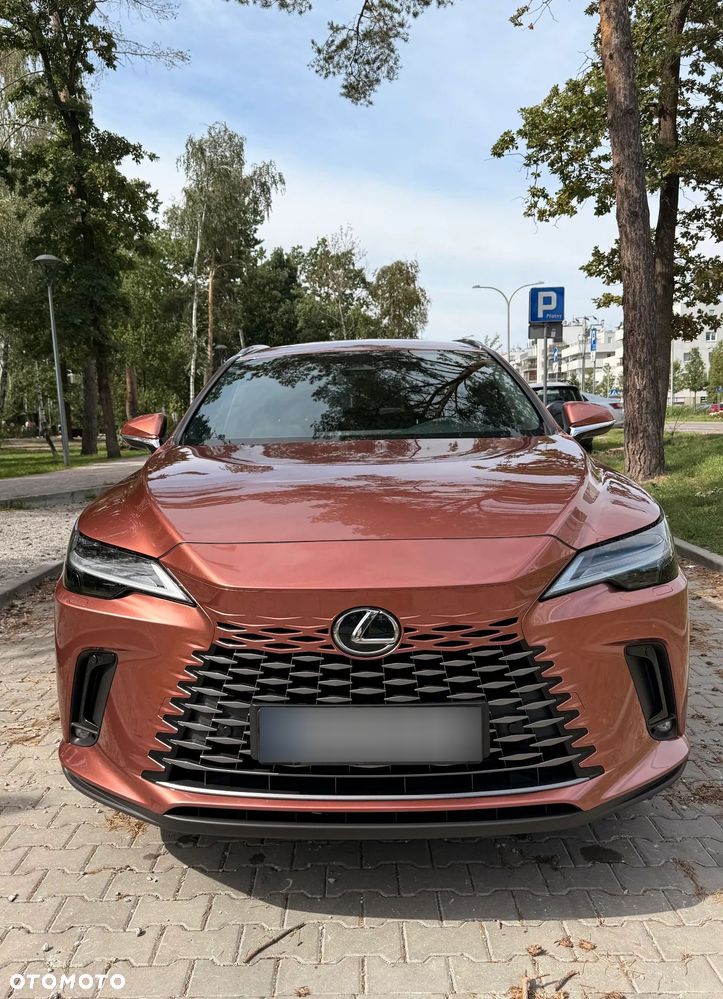 Lexus RX 300 Business Edition - 2