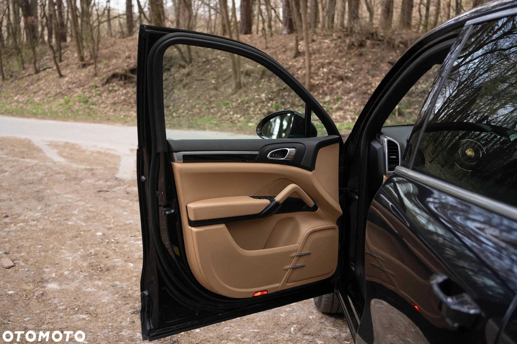 Porsche Cayenne Platinum Edition - 22