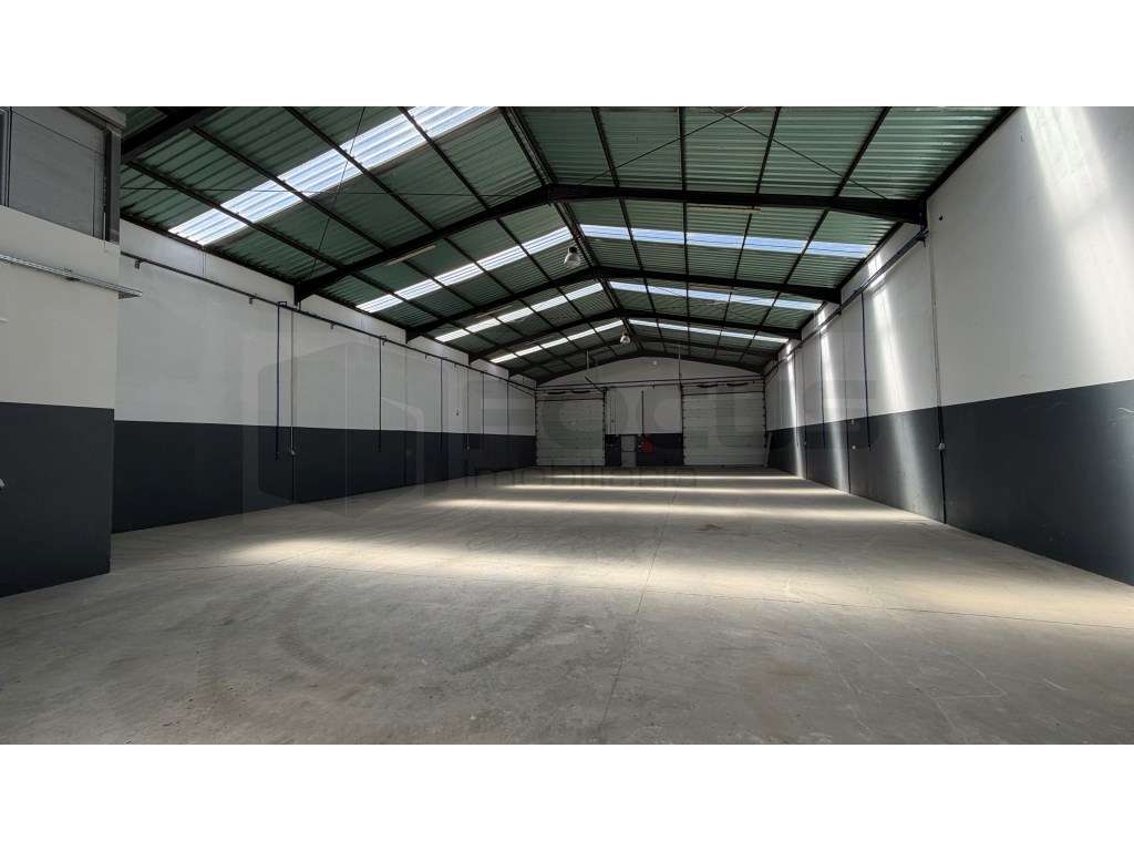 Armazém / Pavilhão para arrendamento - Albergaria -a Velha - Grande imagem: 4/16