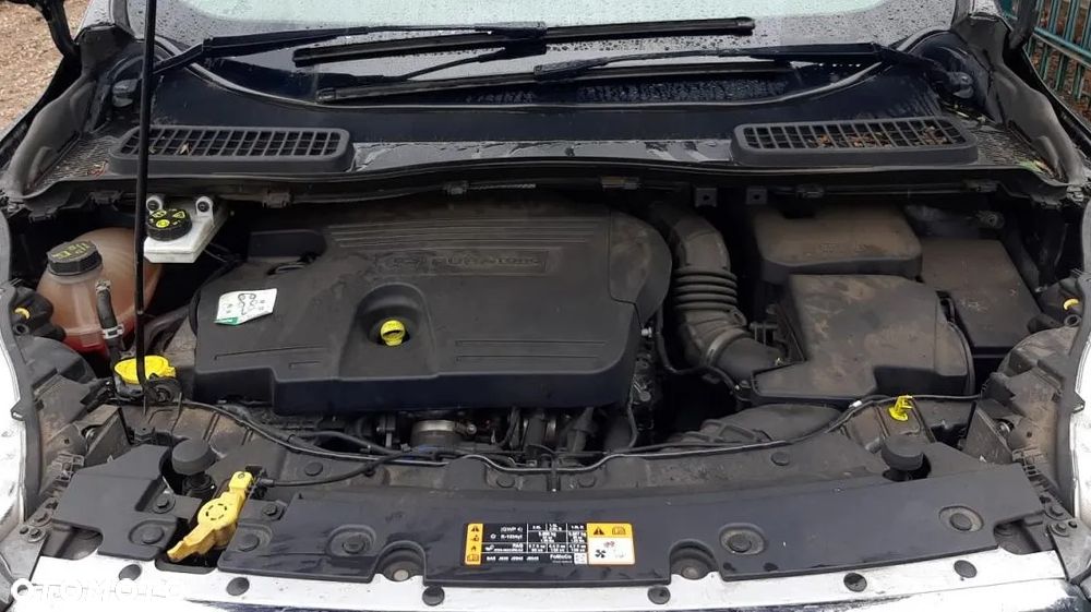 FORD CITROEN PEUGEOT 2.0 TDCI BLU HDI EURO 6 MOC 180 KM SILNIK SŁUPEK SPRAWDZONY I ODPALONY - 1