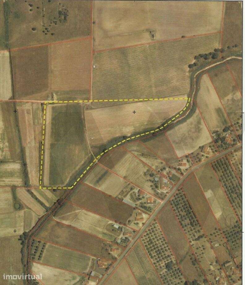Terreno Rústico 4,7ha em Pegões Velhos - Próximo do futuro Aeroporto - Grande imagem: 4/5