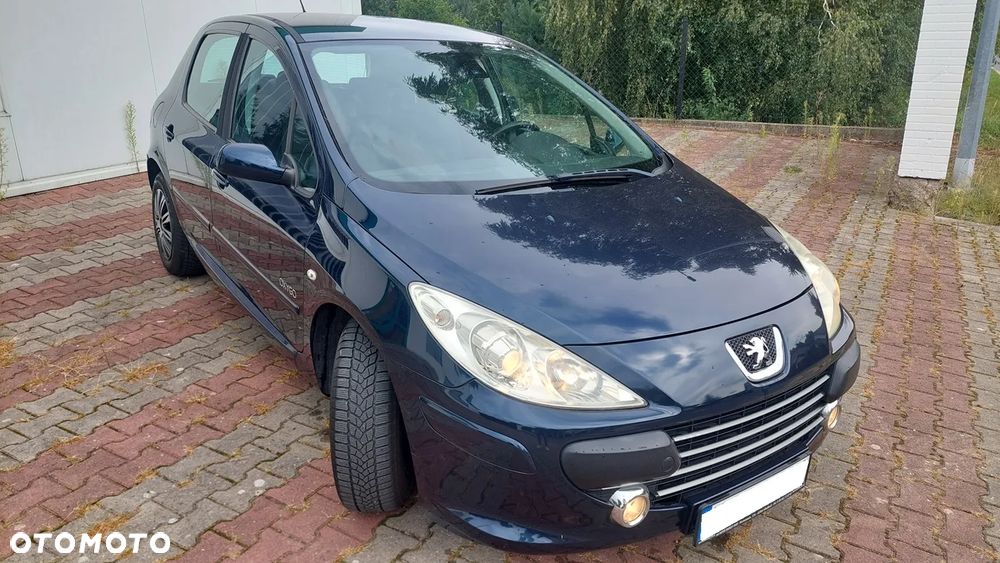 Peugeot 307 - 6