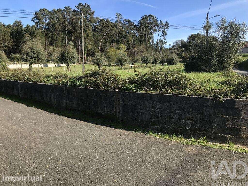 Terreno em Ansião de 1490,00 m2 - Grande imagem: 3/9