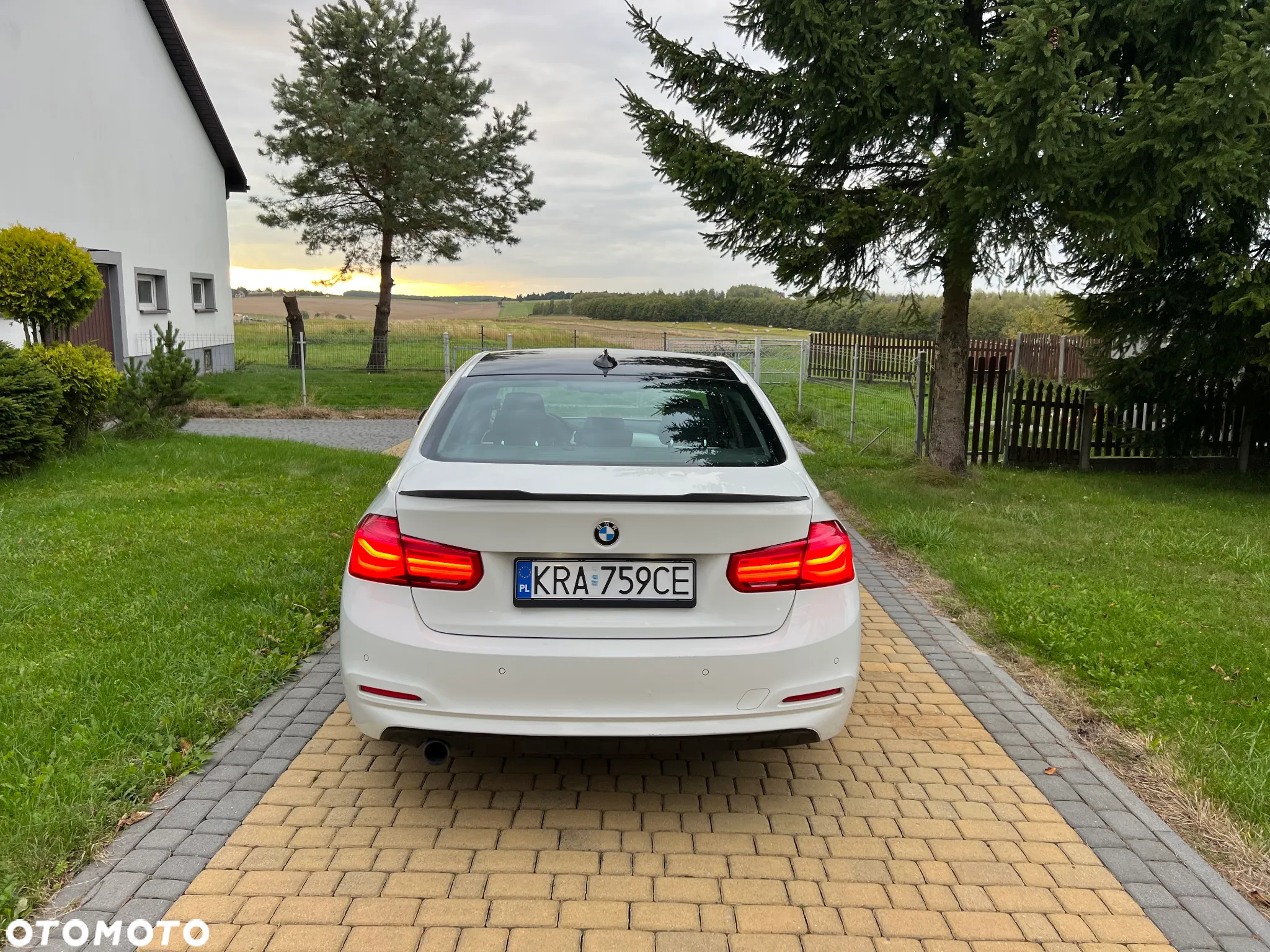 BMW Seria 3 318i - 9