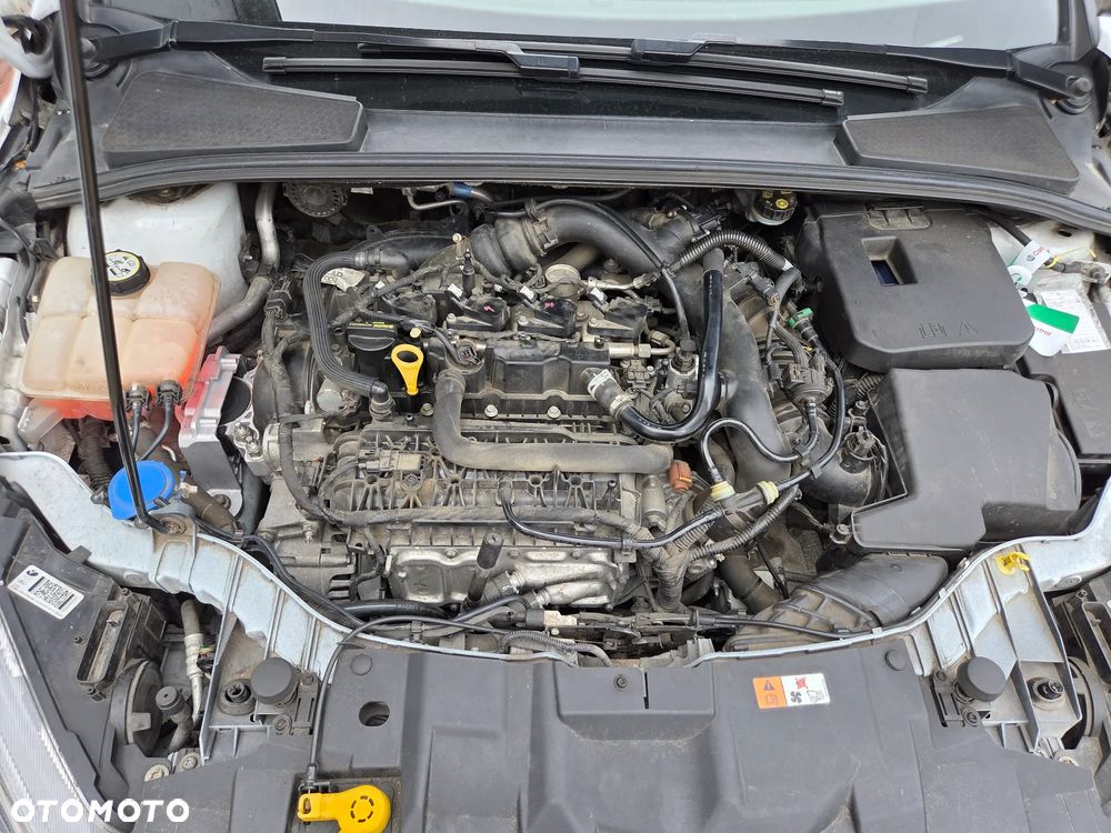 Ford Focus - 8