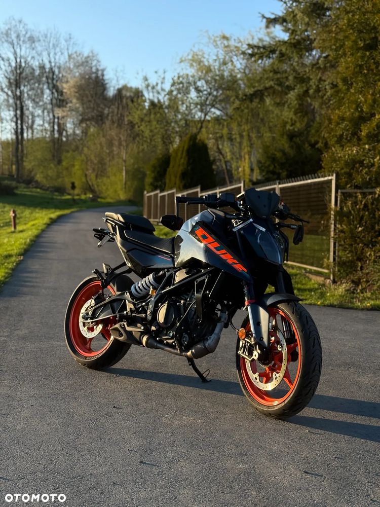 KTM Duke - 29