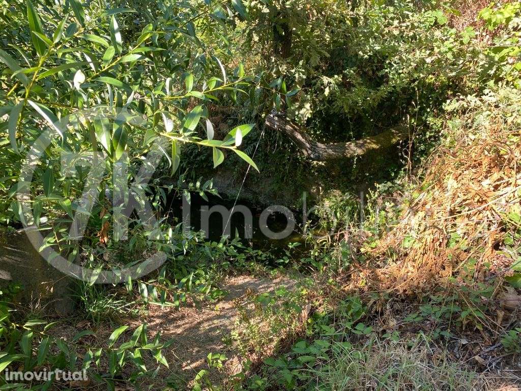 Terreno em Aliviada - Grande imagem: 2/6
