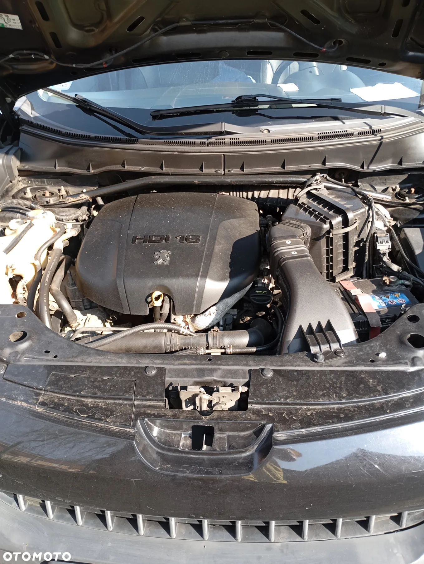 Peugeot 4007 2.2HDi Platinum - 9