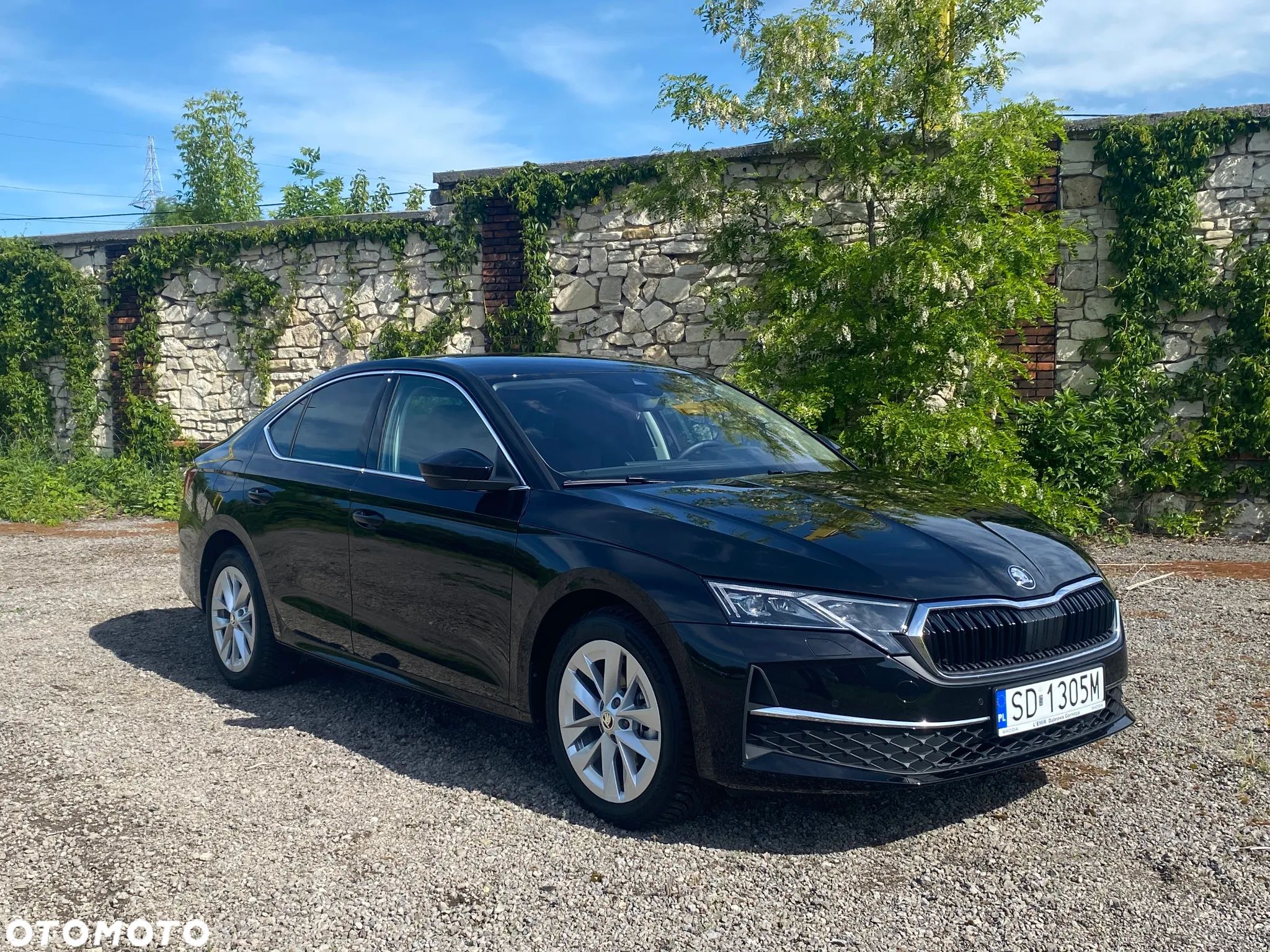 Skoda Octavia 2.0 TDI Selection DSG - 1