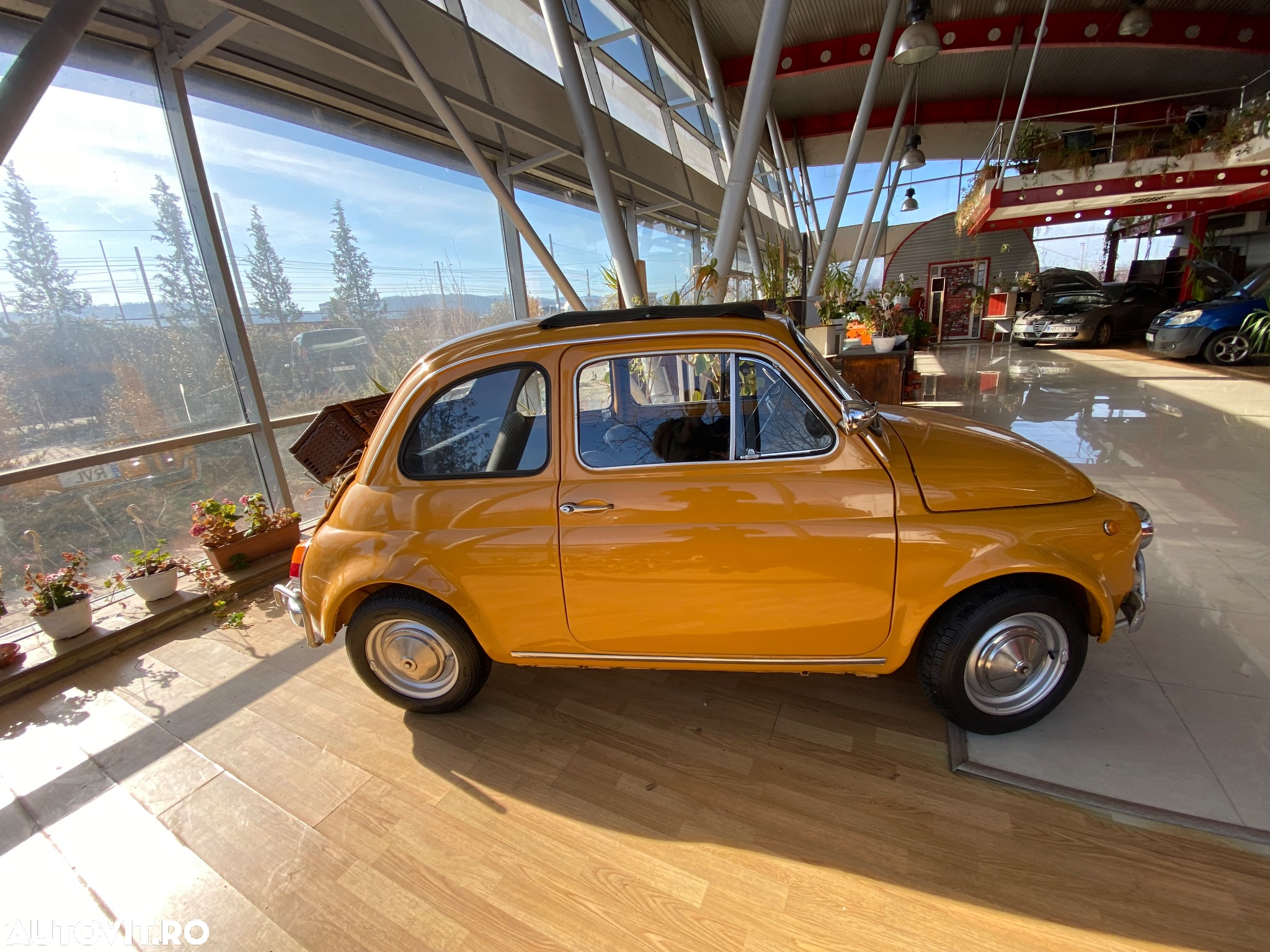Fiat 500 - 3
