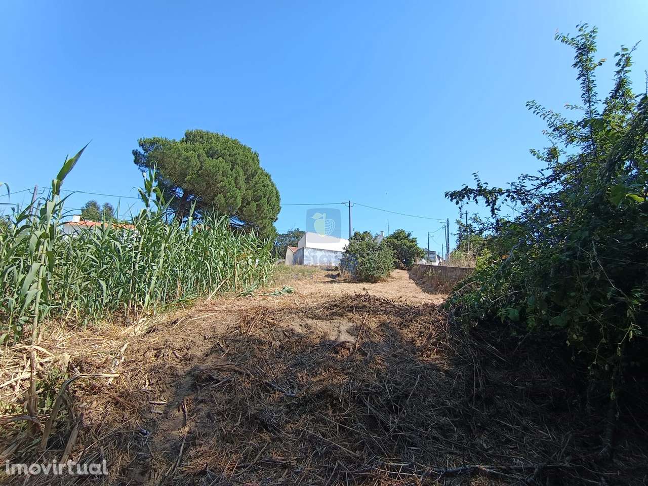 Terreno com 550m2 em Salir do Porto, com possibilidade de construir um - Grande imagem: 2/9