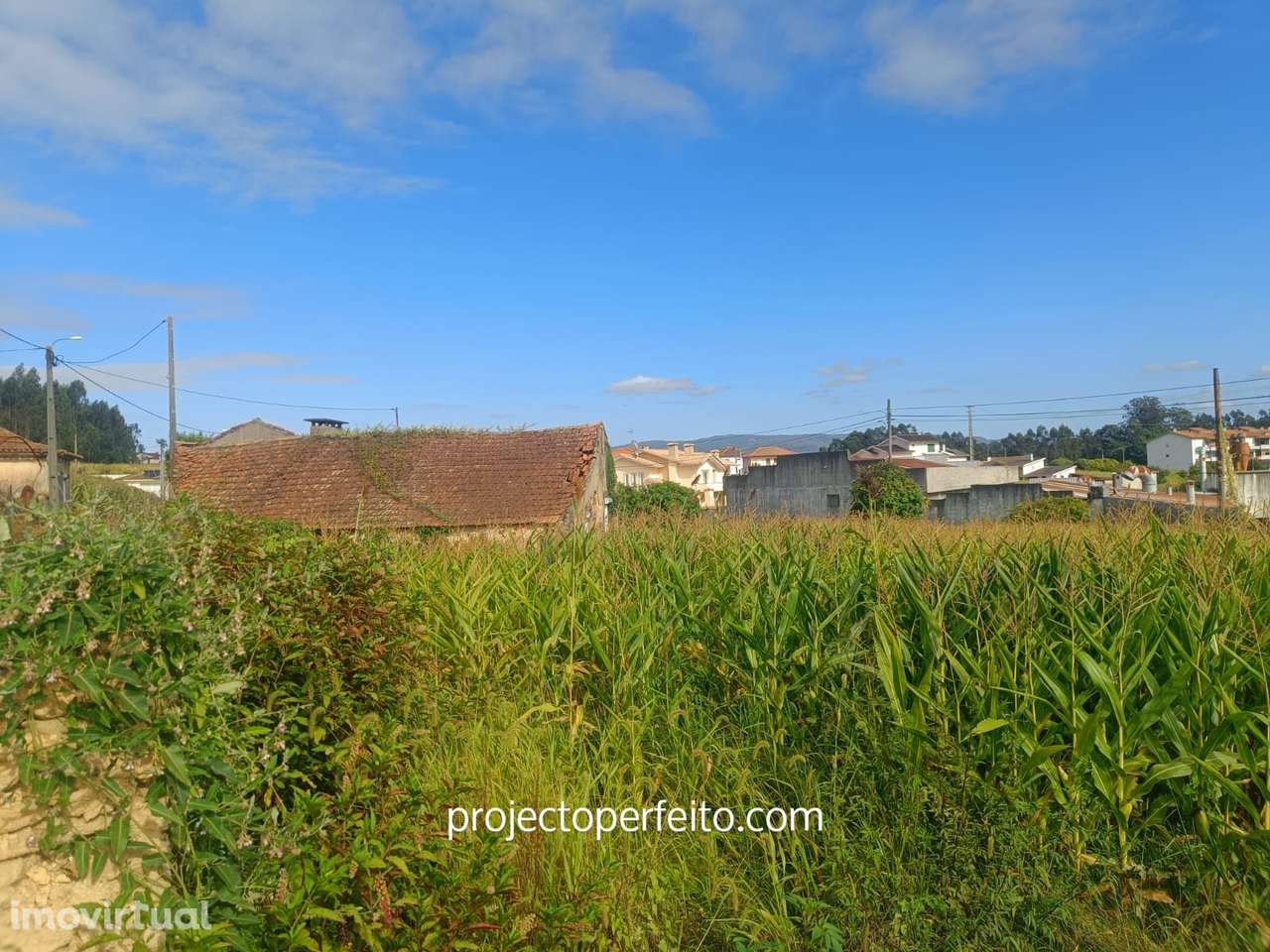 Moradia para Restaurar T2 Venda em Oliveira de Azeméis, Santiago de Ri - Grande imagem: 4/9