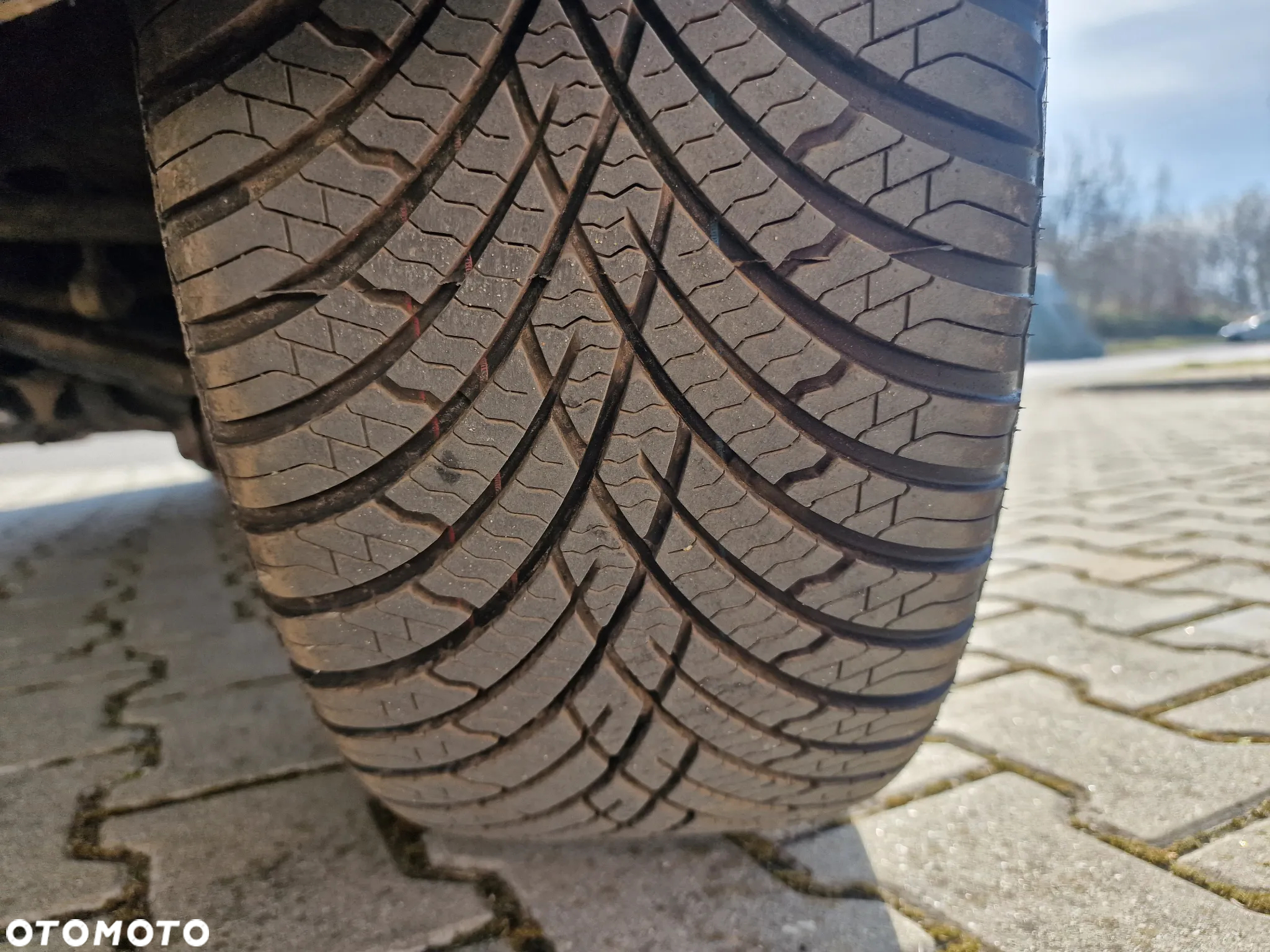 BMW Seria 3 318i - 22