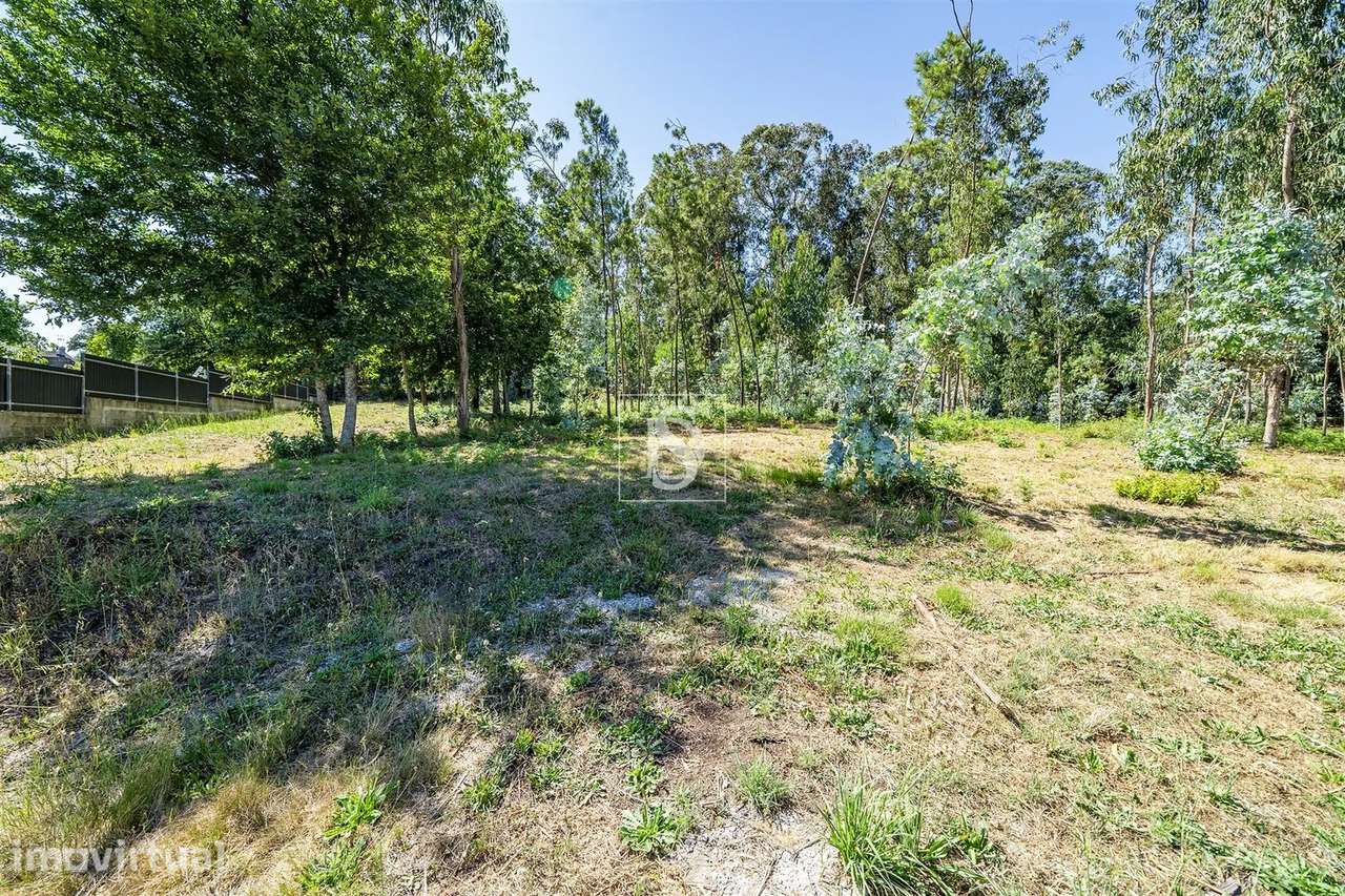 Terreno misto com potencial de construção em Barcelos - Grande imagem: 5/26