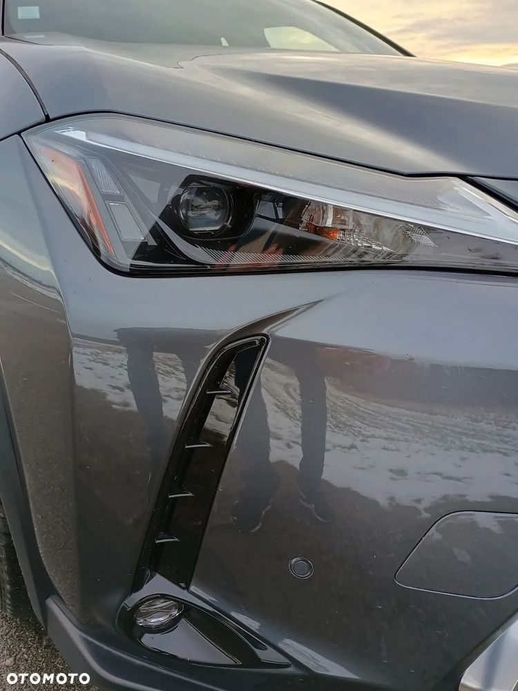 Lexus UX 250h GPF Business Edition 2WD - 17