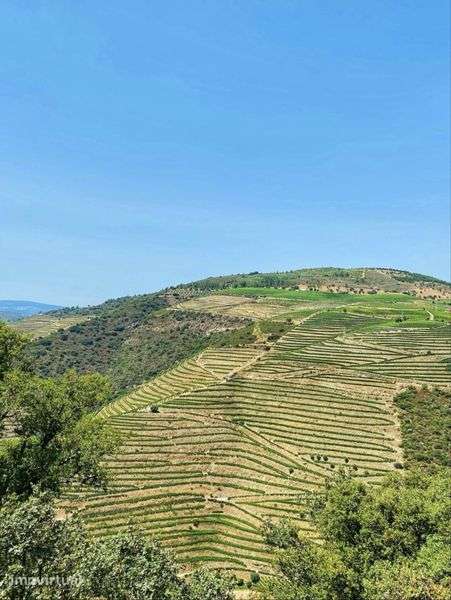 Quinta da Abelheira