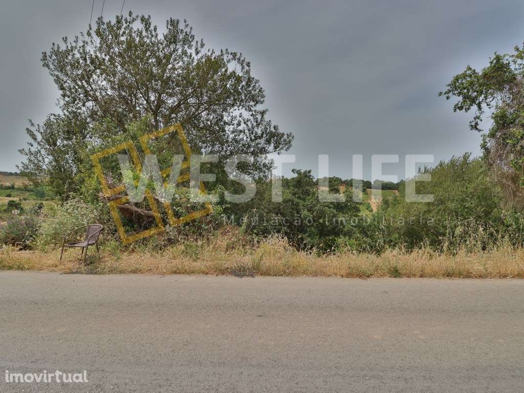 Terreno Rústico/Agroflorestal com 1120m2 - Excelente exposição sola... - Grande imagem: 3/12