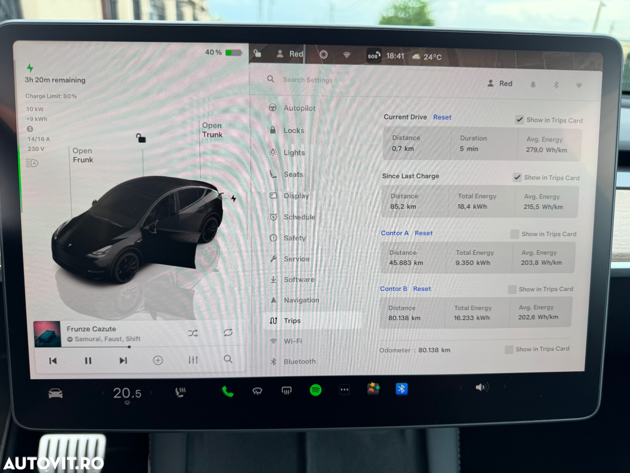 Tesla Model Y Performance - 17