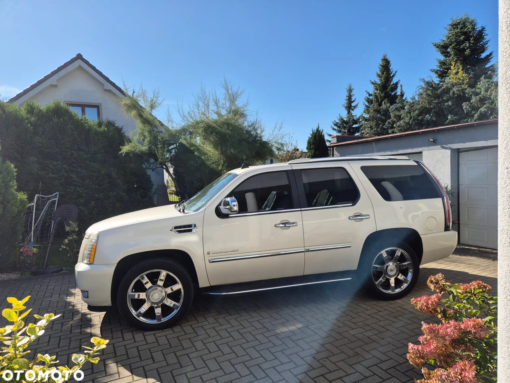 Cadillac Escalade 6.2 V8 Elegance - 1