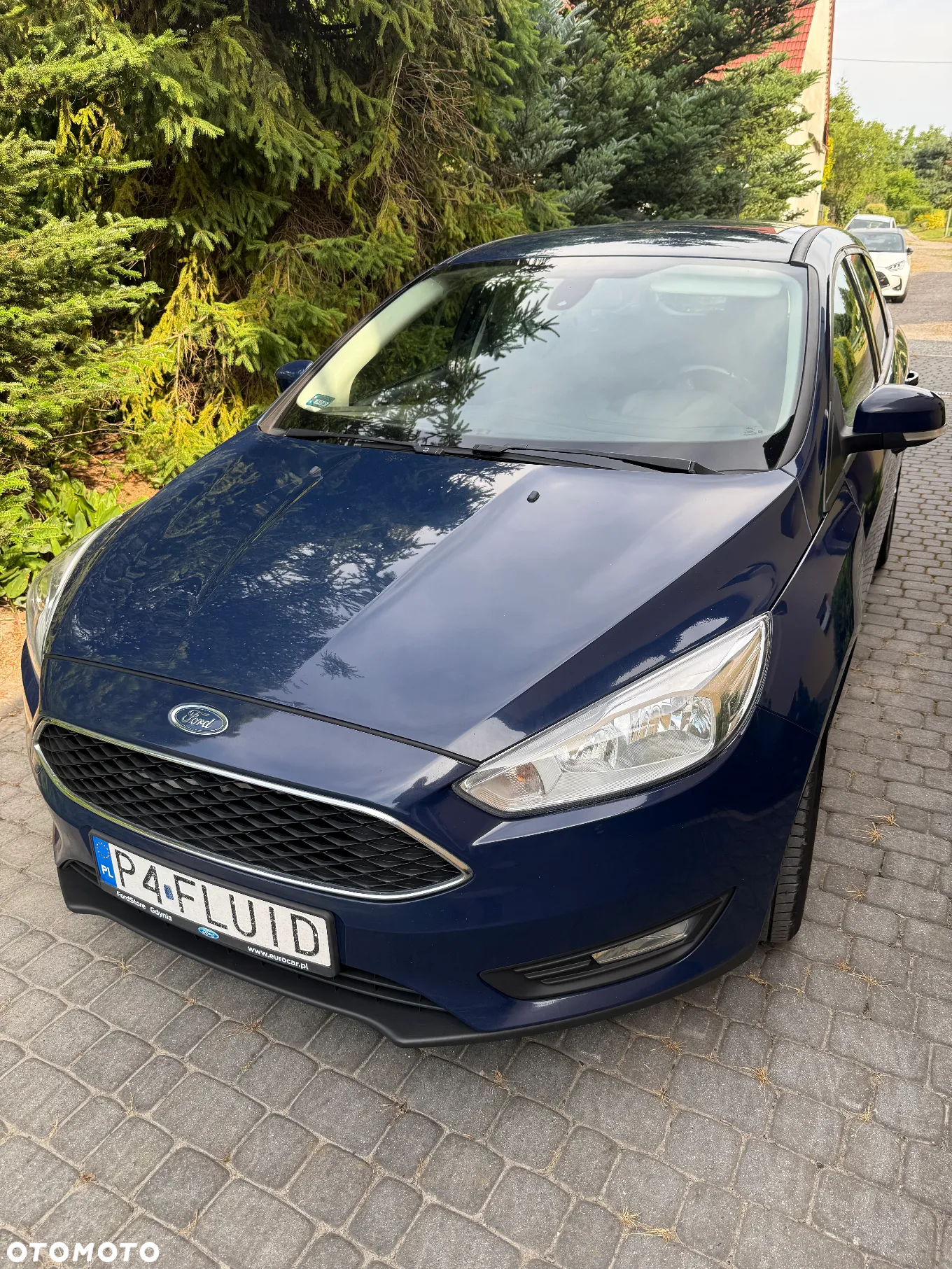 Ford Focus - 10