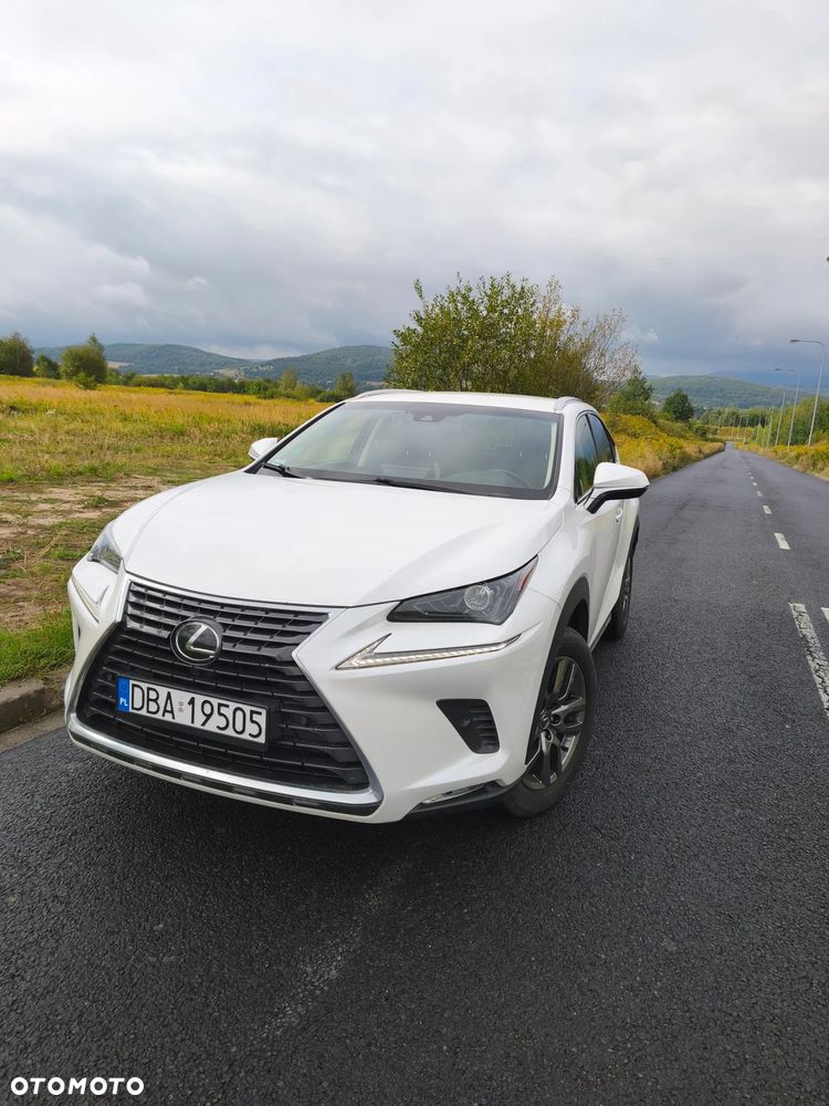Lexus NX 300 Comfort AWD - 4