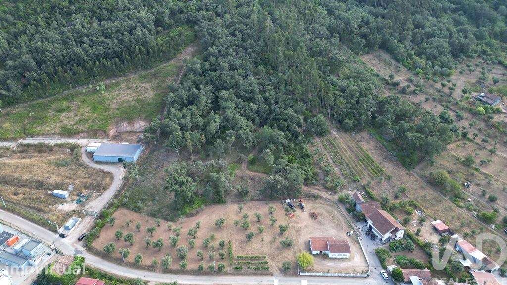 Terreno para construção em São Miguel, Santa Eufémia e Rabaçal - Grande imagem: 2/18